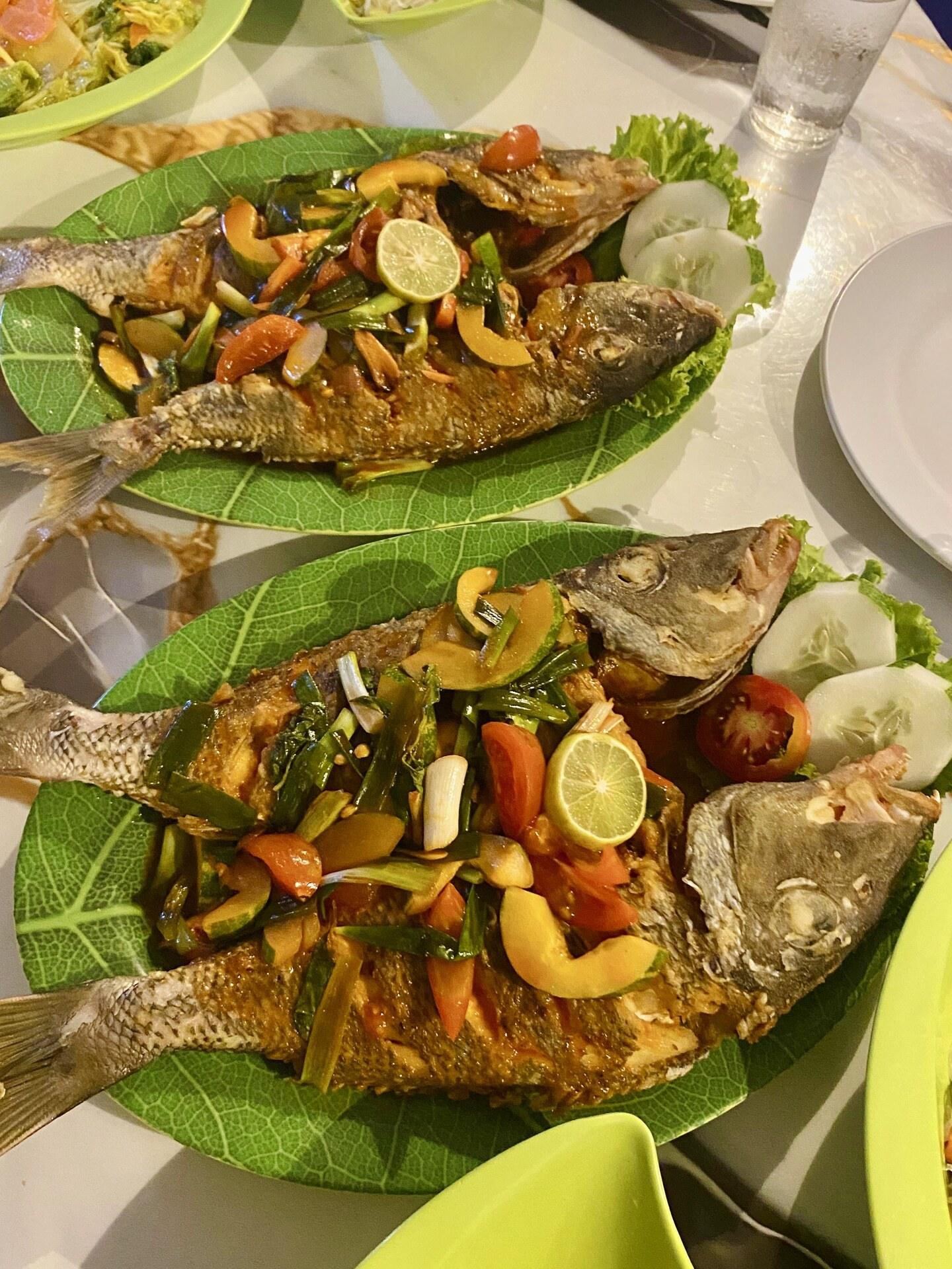 King Cirox 2 Phinisi – First time in Indonesia: the checklist before a Komodo boat trip